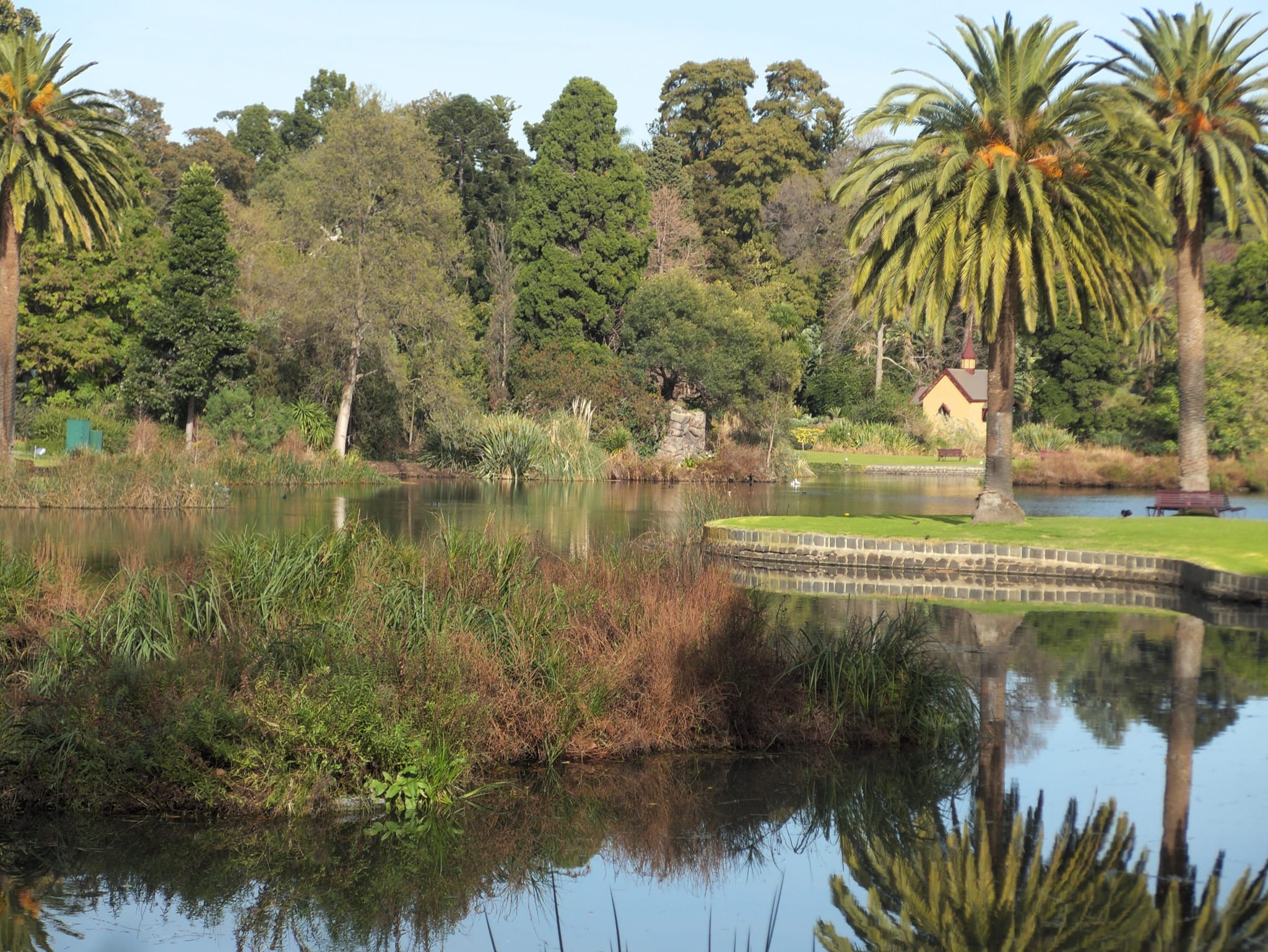 A lake edged with palms and gardens at the Royal Botanic Gardens Melbourne