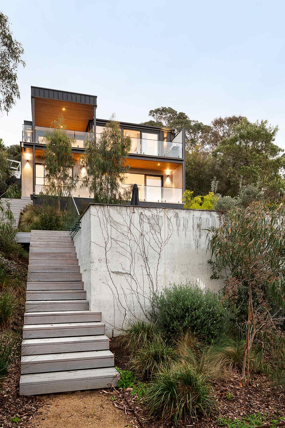 Banksia
