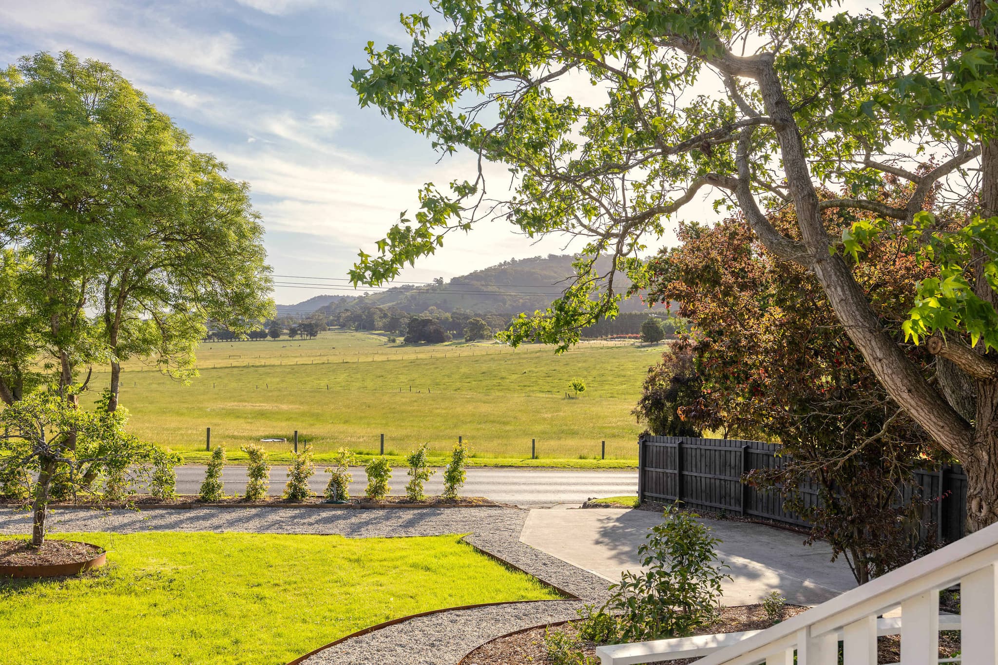 Green paddocks and hills in Yarra Glen beside a big old tree near The Meadow