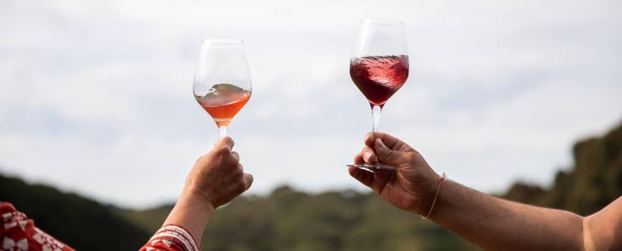 Two hands raising glasses of wine outdoors