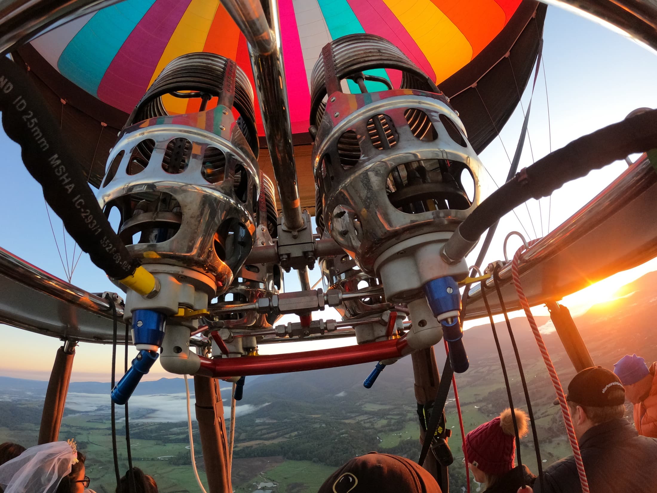 Go Wild Ballooning